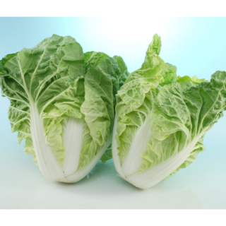 ALL_catalog_26C12_tAW4TPdBaV