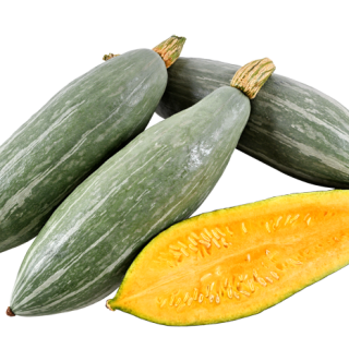 ALL_catalog_26C24_q0WGzVwNwo