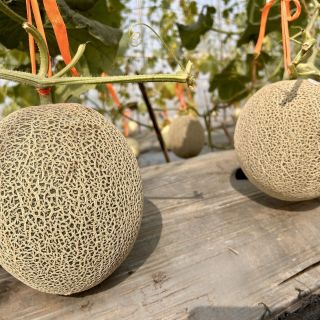Mrunmayi Fruit