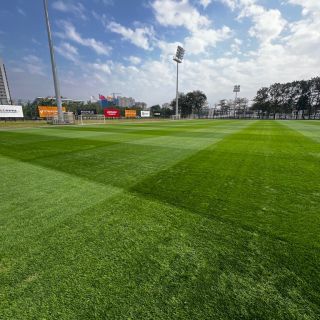 messageImage_1781057314021