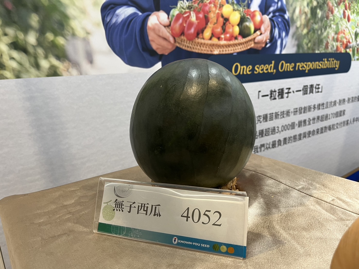 S__199335944_0 S__199335944_0